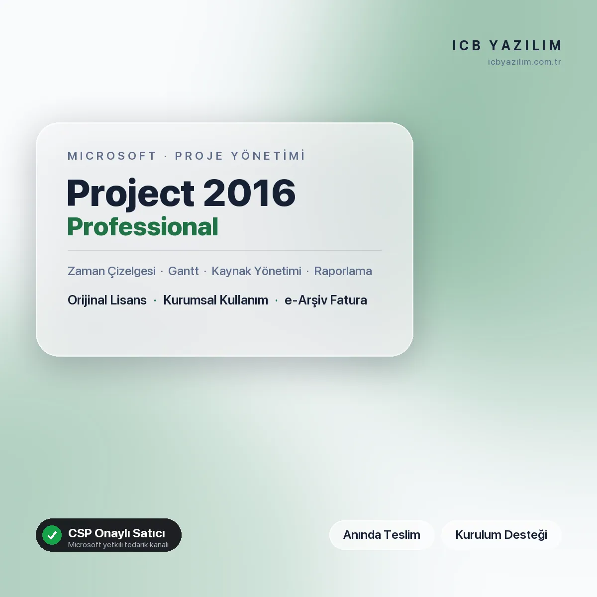 Microsoft Project 2016 Professional — orijinal Microsoft lisansı