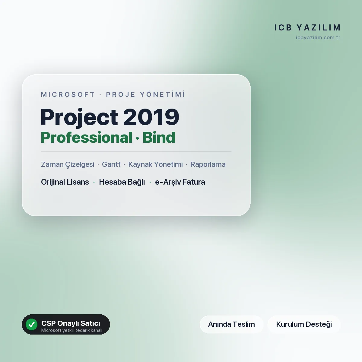 Microsoft Project 2019 Professional · Bind — orijinal Microsoft lisansı
