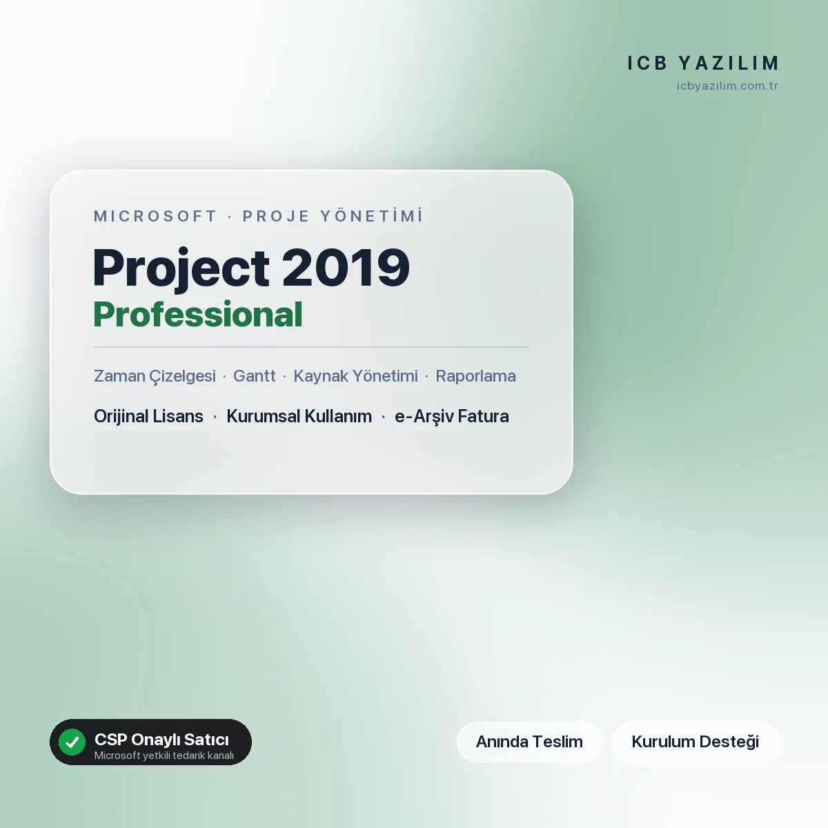 Microsoft Project 2019 Professional — orijinal Microsoft lisansı
