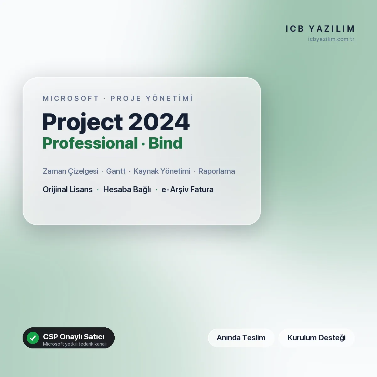 Microsoft Project 2024 Professional · Bind — orijinal Microsoft lisansı