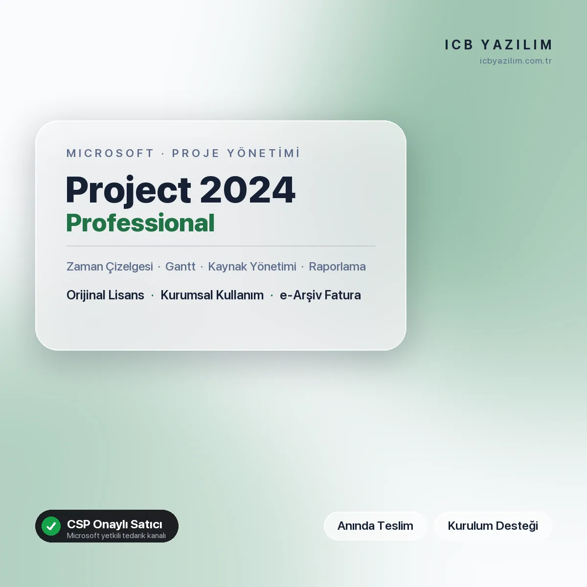 Microsoft Project 2024 Professional — orijinal Microsoft lisansı