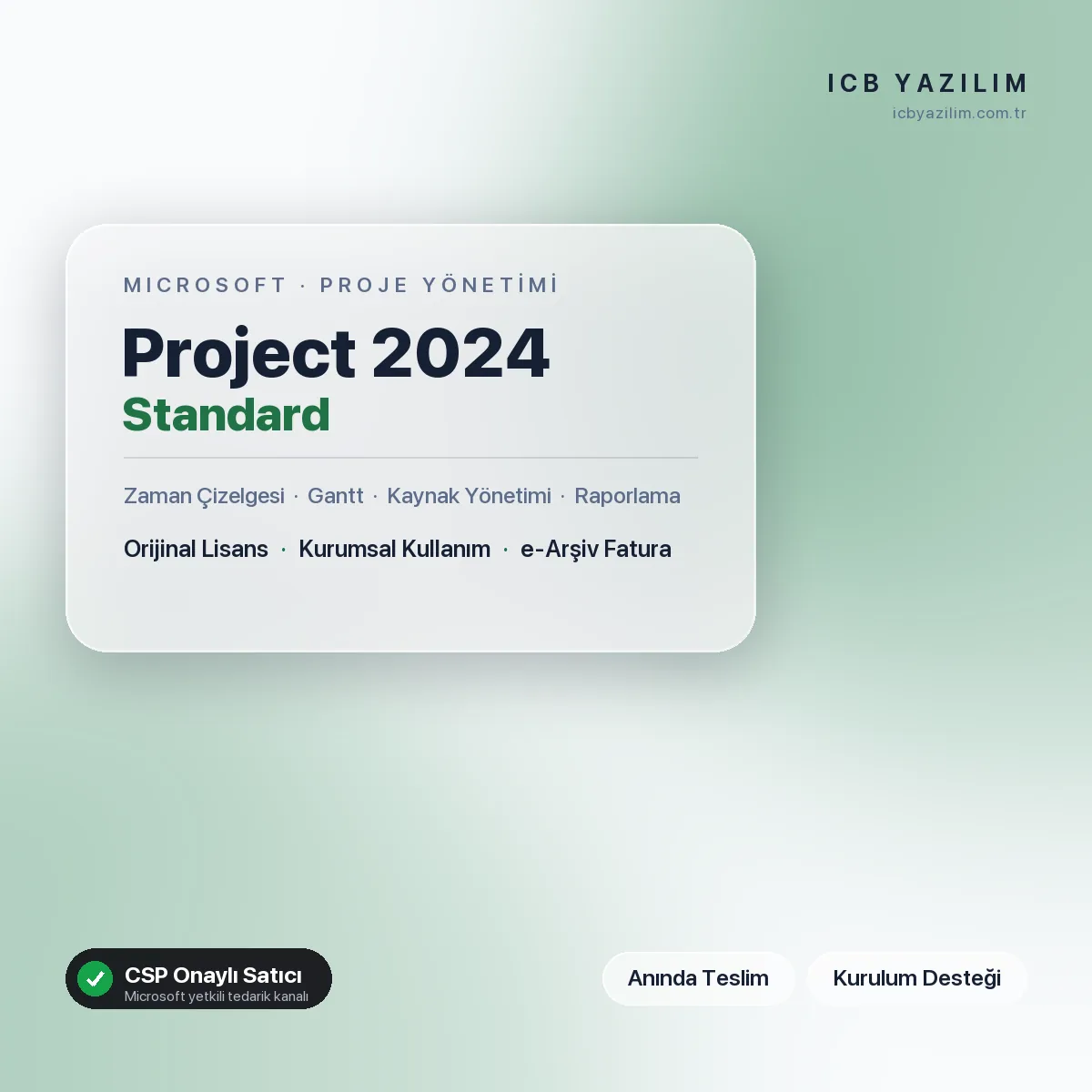 Microsoft Project 2024 Standard — orijinal Microsoft lisansı